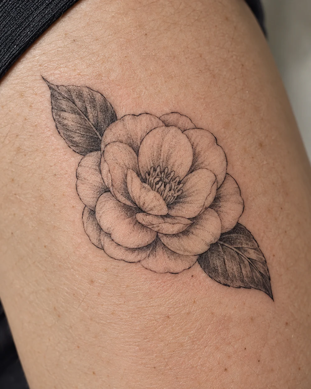Fine-line black camellia tattoo with rounded petals and two veined leaves