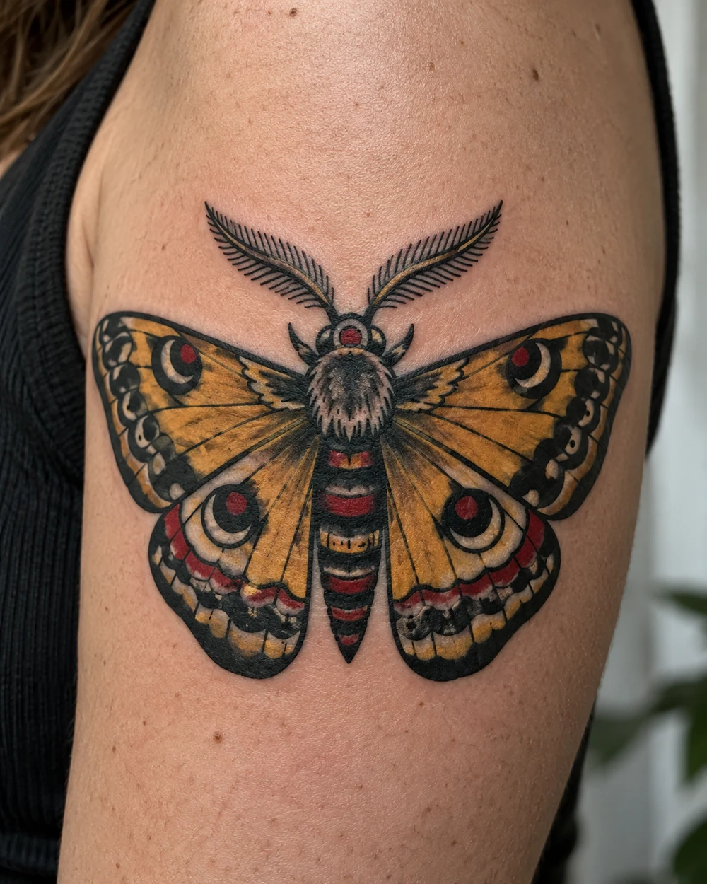 Traditional moth tattoo with ochre and red wings on an upper arm