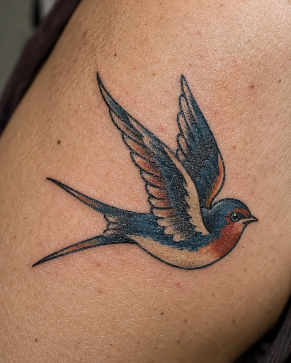 Traditional swallow tattoo with swept-back blue and rust wings and a forked tail on an upper arm